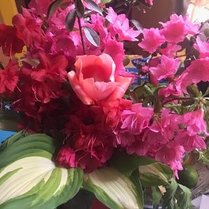 Meet your Posher, Judith